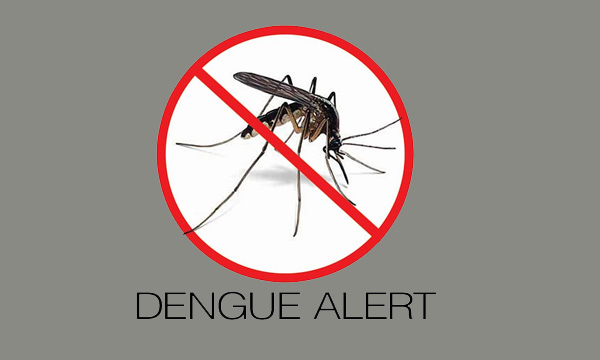 dengue fever