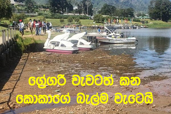 lake-gregory-nuwara-eliya-directions4