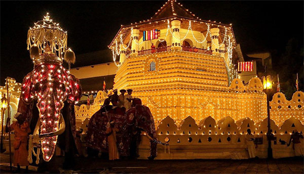 perahera in english