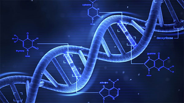 dna