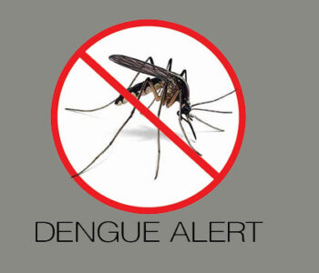 dengue fever