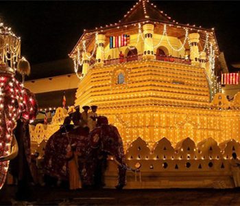 perahera in english